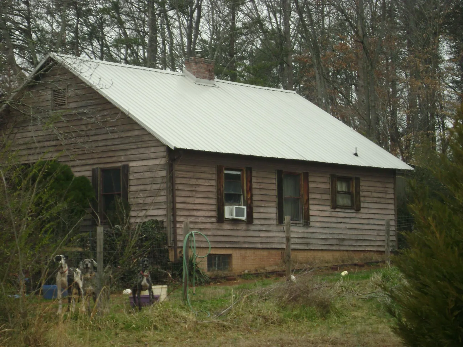White metal roof on an old wood sided farmhouse, from a Asphalt Shingle Roof Repair job in Justin
